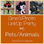 gmasphoto linkup party #6