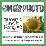 generic linkup party #2