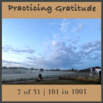 Practicing Gratitude 7 of 31