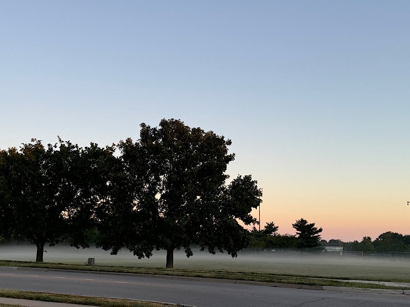 autumn fog